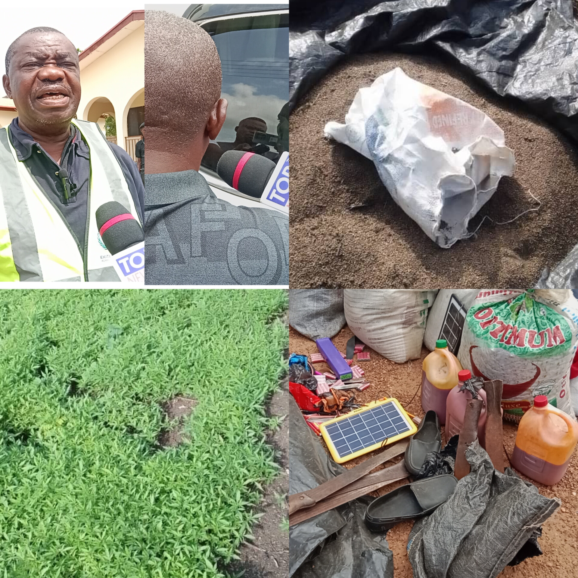 End Of Road As Ekiti Agro Marshal Corps Apprehends Suspected Cannabis Dealer, Others Flee (See Video)