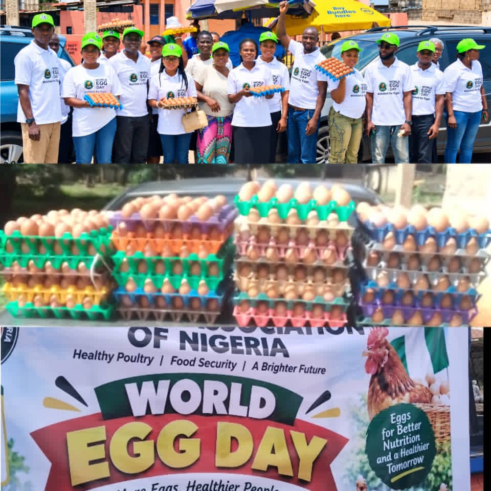 WORLD EGG DAY: Ekiti Poultry Farmers Leaders Appeals to Tinubu, Oyebanji Over School Feeding Program